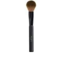 Pennello Blush 06