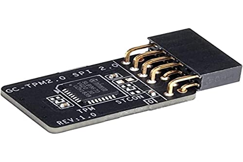 Gigabyte Module Tpm 2.0 Pour Carte Mère Intel 400/300 Series Ou Amd B