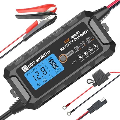 Eco-Worthy Caricabatterie Al Litio Da 12 V, 5 A, Con Rilevamento Intelligente E Connettore Sae, Ricarica Plug And Play E Manutenzione Auto, Moto, Tosa