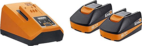 Fein Starter Set Con 2 Batterie Agli Ioni Di Litio Con Caricabatteria Rapido Alg 80 Bc, Elevata Corrente Di Carica Di 8 Ampere, Tensione 18 V, Capacit