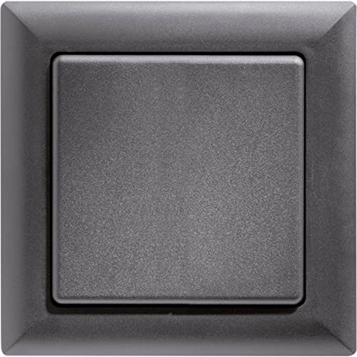 Eltako Funk Taster, Batterie E Leitungslos Con Bilanciere/Doppio Interruttore A Bilanciere, 1 Pezzi, Antracite, Ft55 An