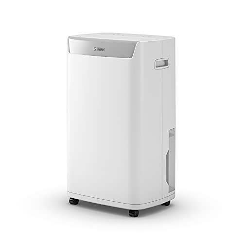 Olimpia Splendid 02064 Aquaria S1 20 P - Deumidificatore Casa Muffa 20 Litri/Giorno Con Tanica Estraibile, Tripla Filtrazione Hepa, Deumidificazione S