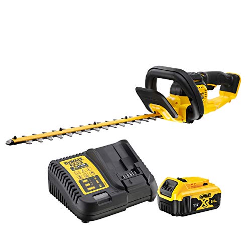 Dewalt Dcmht563P1-Qw Tagliasiepi Senza Fili, Interasse 25 Mm