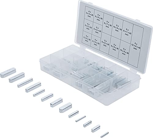 Bgs, Bgs-8141, Assortimento Chiavette, 60 Pezzi