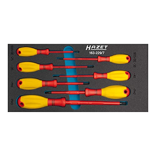 Hazet 163-229/7 Serie Di Giraviti Vde, Argento, Numero Utensili 7