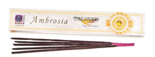 Berk Hs-100 - Bastoncini Di Incenso - Ambrosia, 10 G