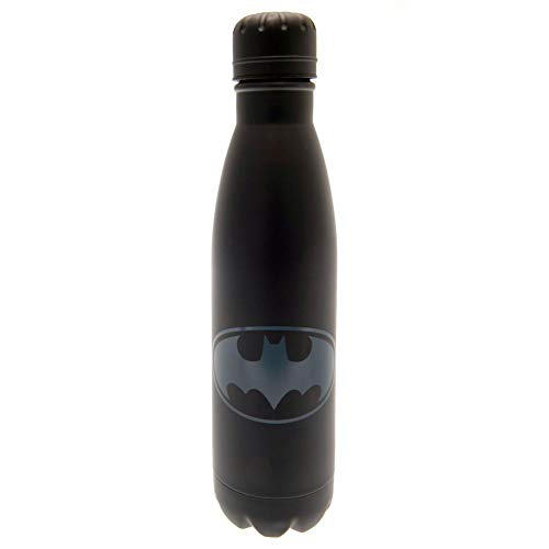 Dc Comics Mdb25541 - Borraccia In Acciaio, 500 Ml, Per Adulti, Unisex, 500 Ml, Colore: Multicolore