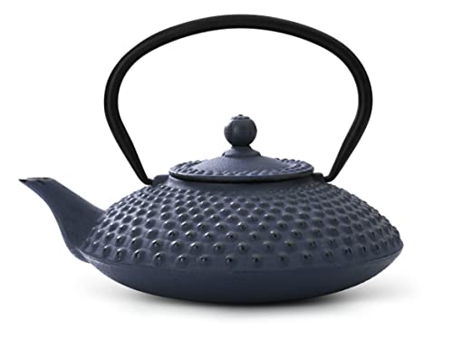 Bredemeijer Xilin, Ghisa, Blu