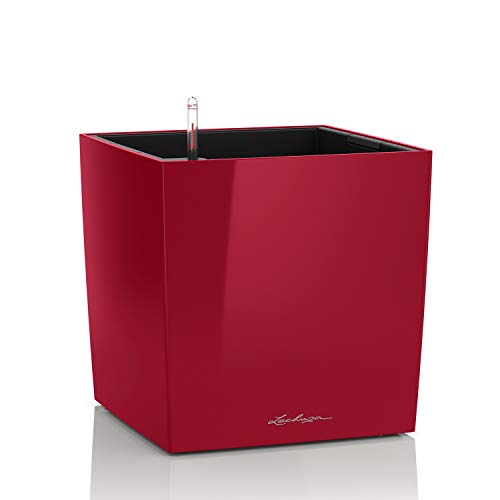Lechuza Cube Premium 50 Rosso Scarlatto Lucido 16567