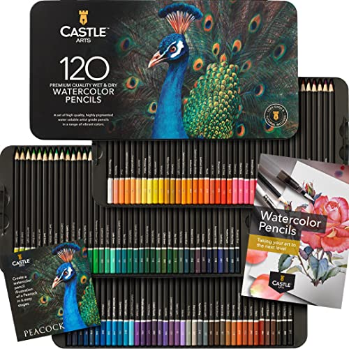 Castle Art Supplies Set Di 120 Matite Acquerellabili | Pigmenti Vibranti | Disegna E Dipingi Allo Stesso Tempo | Per Artisti Adulti E Professionisti |