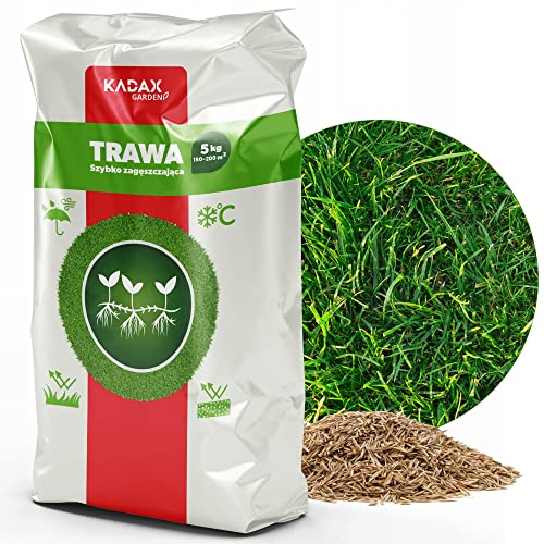 Semi Di Prato Di Kadax, Semi Di Erba, Erba In Rapida Crescita, Pellet Da Prato, Semi Di Prato In Rapido Mercine, Semina Sul Prato, Grassaat Resistente