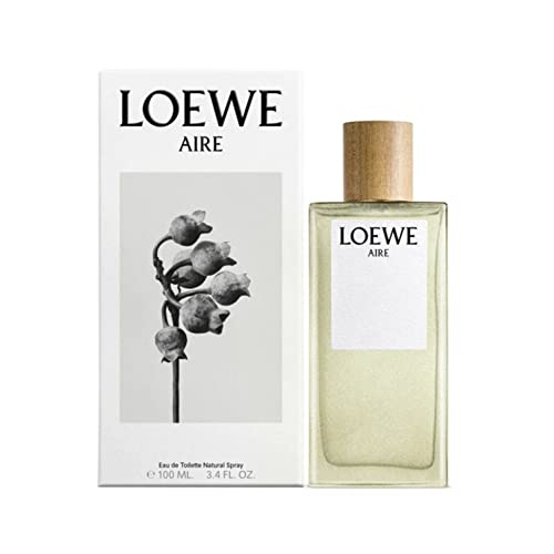 Aire Edt Vapo 100 Ml