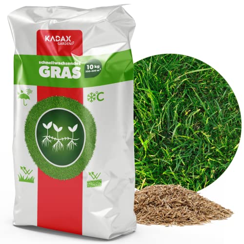 Semi Di Prato Di Kadax, Semi Di Erba, Erba In Rapida Crescita, Pellet Da Prato, Semi Di Prato In Rapido Mercine, Semina Sul Prato, Grassaat Resistente