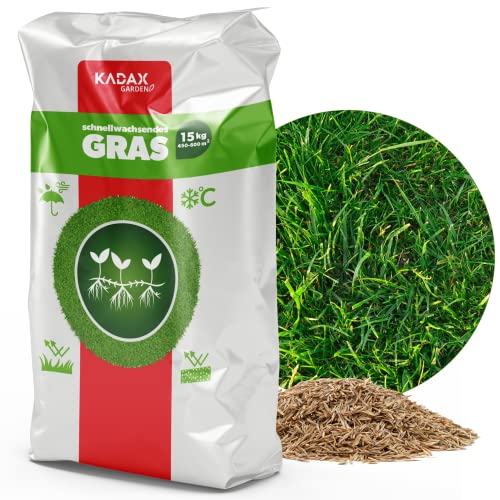 Semi Di Prato Di Kadax, Semi Di Erba, Erba In Rapida Crescita, Pellet Da Prato, Semi Di Prato In Rapido Mercine, Semina Sul Prato, Grassaat Resistente