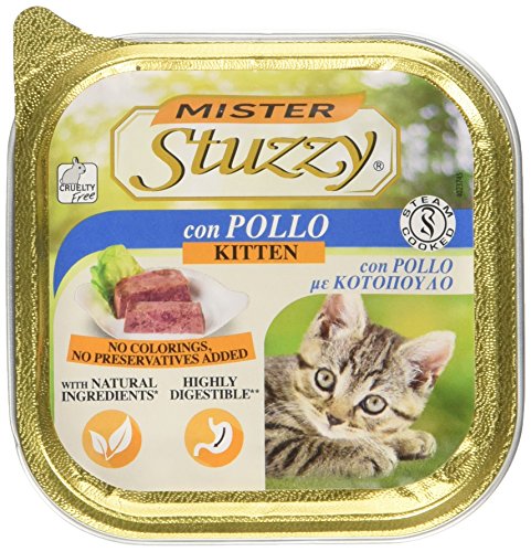 Mist.Stuzzy Cat Kitten Gr100