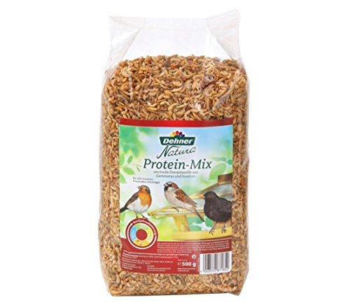 Dehner Natura Uccelli Selvatici Mangiatoia, Proteine Mix, 500 G