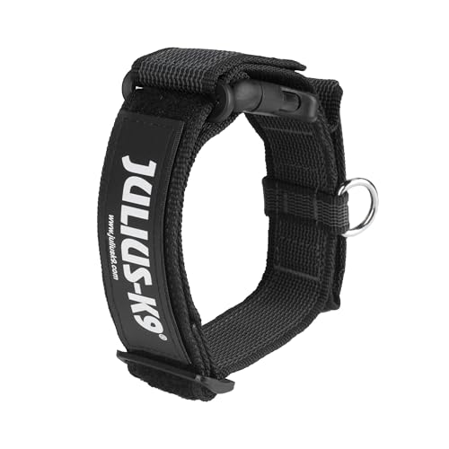 Julius-K9, 100Ha-K-15-P Color & Grey K9 Collare Con Manico, Chiusura Di Sicurezza E Logo, 40 Mm* 38-53 Cm, Regolabile, Nero-Grigio,