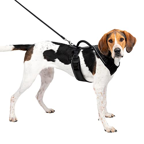 Petsafe Pettorina Easysport: Pettorina Per Cani Grandi Imbottita E Regolabile Con Impugnatura E Bordo Riflettente - 320 Gr L
