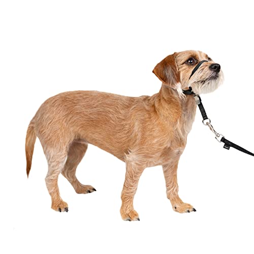 Petsafe - Collare A Cavezza Easy Walk Per Cani Di Piccola Taglia (S), Comodo, Anti-Trazione, Con Guinzaglio In Nylon (Incluso) - Nero