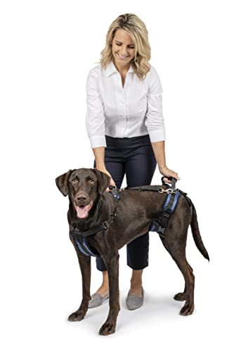 Petsafe Carelift, Pettorina Di Supporto Per Cani, Ausilio Per Il Sollevamento Di Tutto Il Corpo Con Impugnatura, Per Cani Disabili O Anziani, Comodo,
