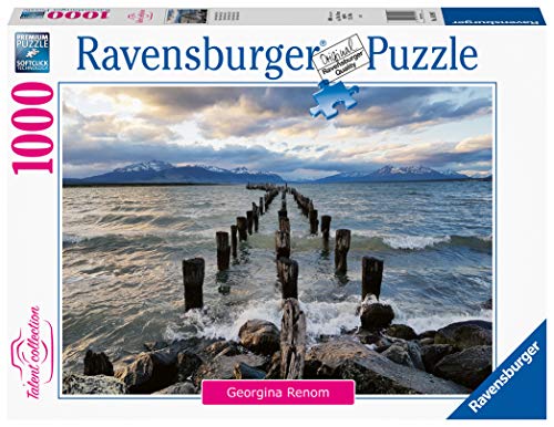 Ravensburger Puzzle, Puzzle 1000 Pezzi, Puerto Natales Cile, Puzzle Per Adulti, Talent Collection, Puzzle Paesaggi, Puzzle Ravensburger - Stampa Di Al