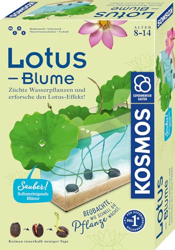 Lotus-Blume: Experimentierkasten