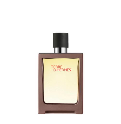 TERRE D'HERMES EAU DE TOILETTE 100ML  -  Hermes