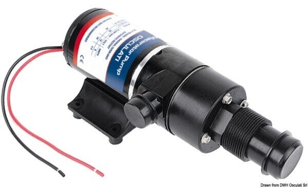 Maceratore autoadescante 12 V - 50.222.13