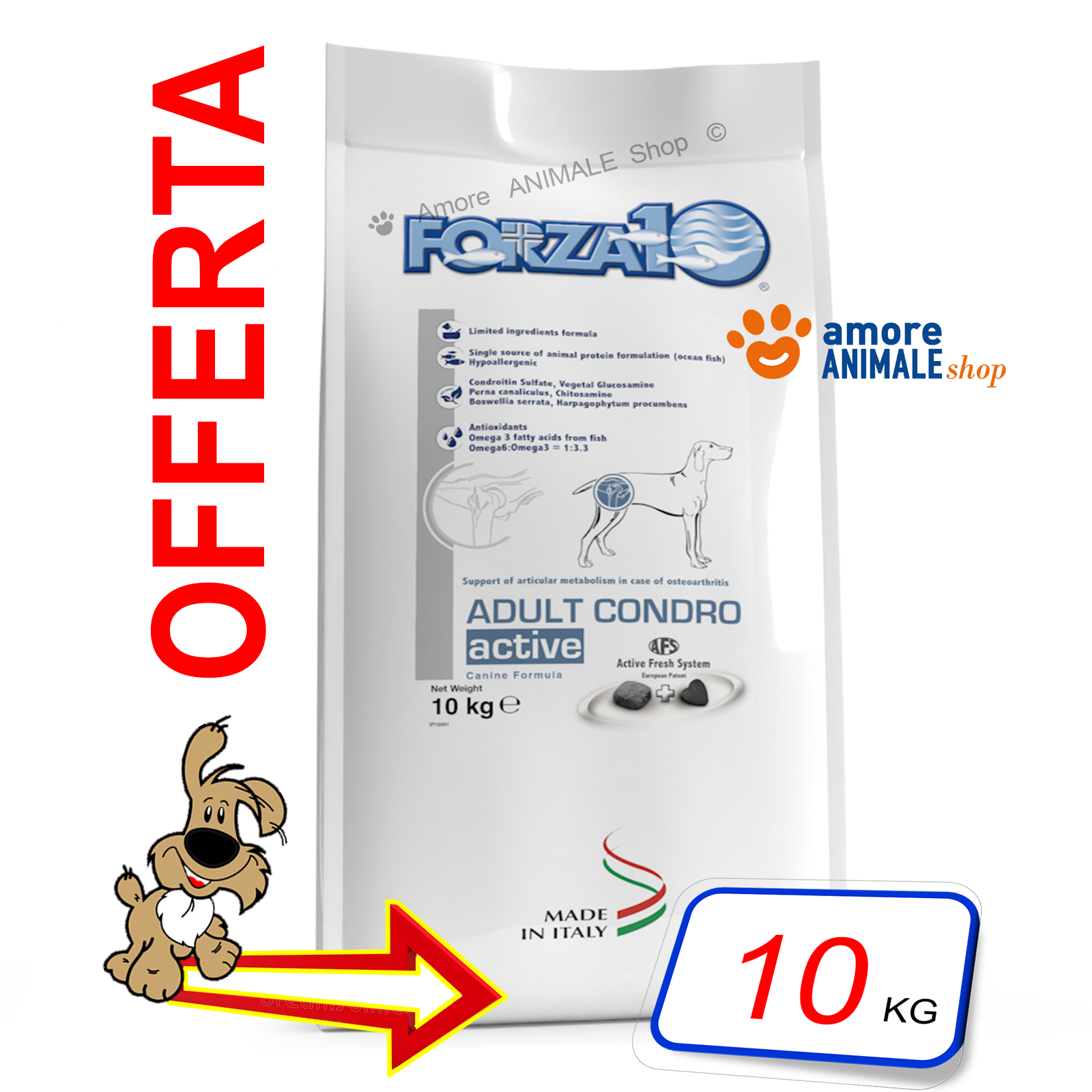Forza10 Dog ACTIVE → Adult Condro - 10 kg - Crocchette Per Cane, Alimento Cani