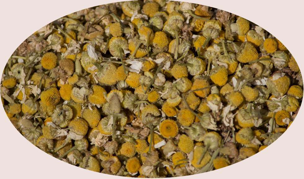 BIO - Fiori di Camomilla - 1kg - Eder Spezie Spice