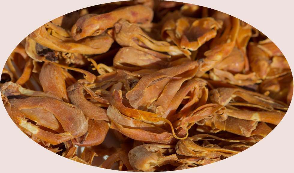 BIO - macis / macis intero - 1kg - Eder spezie spice