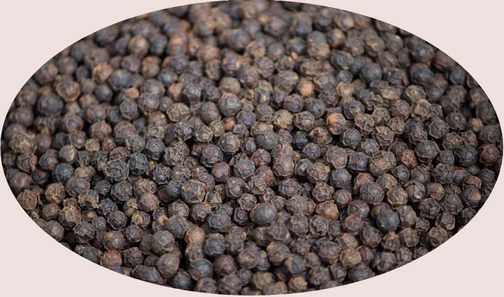 Pepe Nero Kampot - 1kg - Spezie Eder Spice