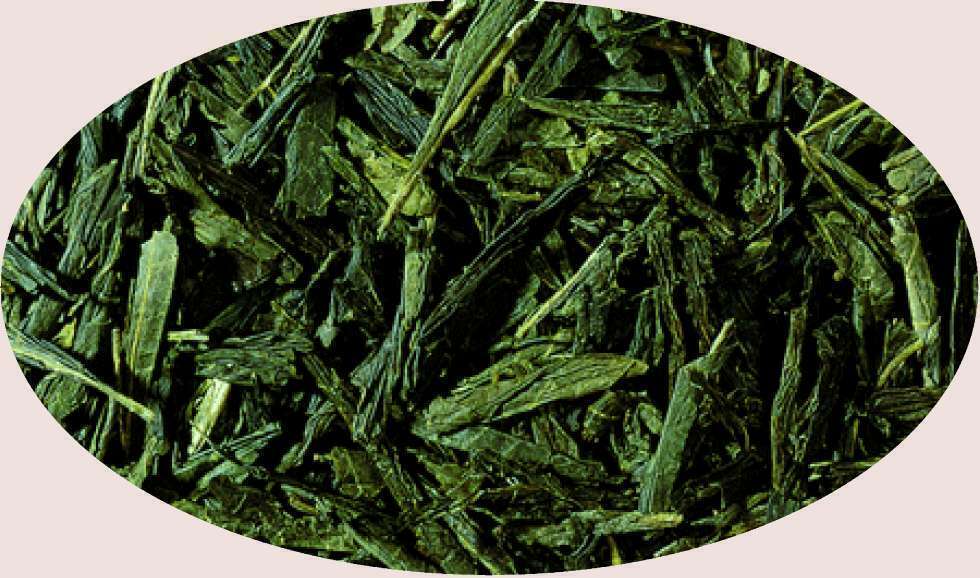 BIOLOGICO - Tè Verde Bio Japan Bancha - 1kg - Eder Spices Spice