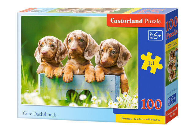 Puzzle 100 elementów. Słodkie jamniki