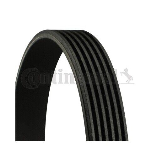 Cinghia Poly V Continental Ctam 6PK2055 per Mercedes Benz Mercedes Benz Hyundai