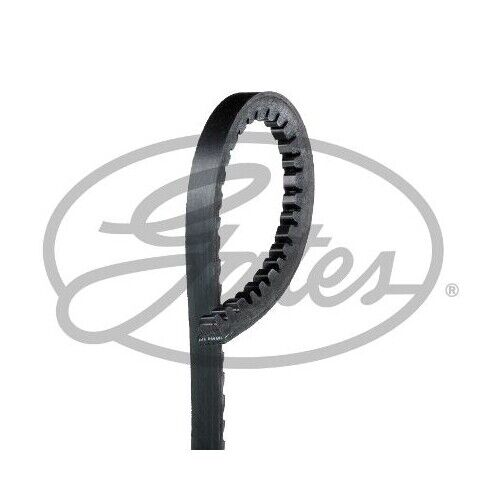 Cinghia Trapezoidale Gates AVX10x1475HD Fleetrunner™ V-belt per Ford Man Opel