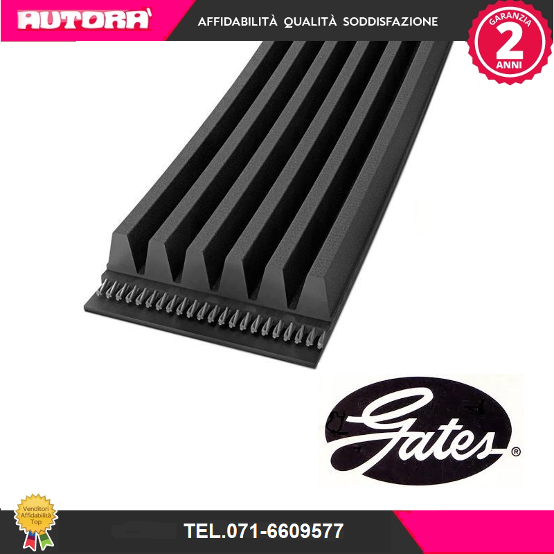 5PK865 Cinghia Poly-V (MARCA-GATES).
