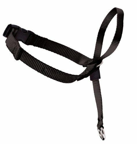Petsafe Croci C5066225 Collare (E8U)