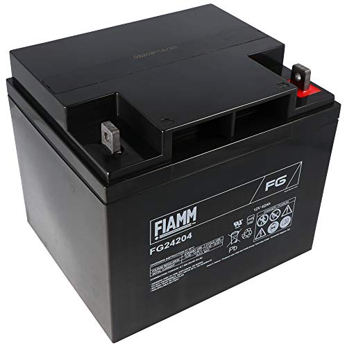 Fiamm Batteria 12V 42 Ah Fg24204 Vrla Agm Ermetica Fotovoltaico Ups