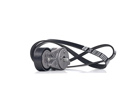 Dayco Kit Cinghie Poly-V Kpv385 Per Abarth Grande Punto (199_)