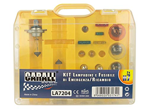Carall Kit Ricambio Lampadine Auto Emergenza Alogena 12V H7 P21/5W P21W Py21W R5W T10 T4 Siluro 36Mm 38Mm Fusibile,Totale 17 Pezzi