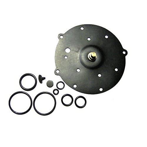 Kit Di Riparazione Ag Sgi 4020 Del Riduttore Del Diaframma Della Guarnizione Di Gpl
