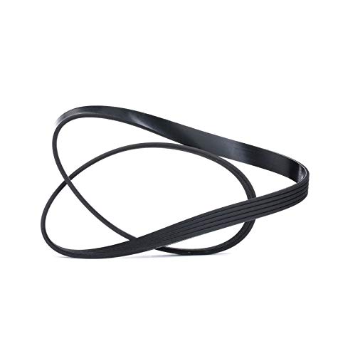 Dayco 5Pk1030 Poly-V Opel Vectra Signum V22