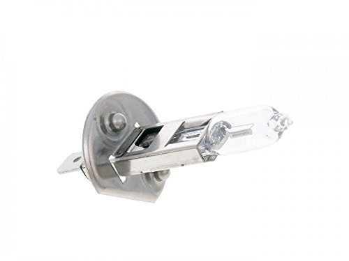 Lamp Light Bulb Halogena H1
