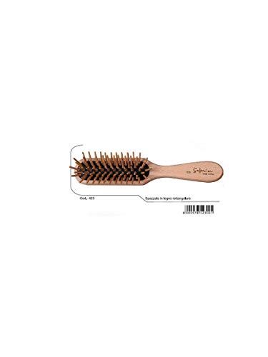 Guenzani Spazzola 423 Legno Rettan