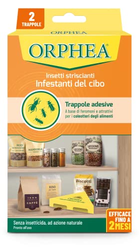 Orphea - Antitarme Alimentare, Elimina Le Farfalline Del Cibo E Ne Previene Lo Sviluppo, Senza Insetticida, Inodore Azione Naturale, 2 Trappole Adesiv