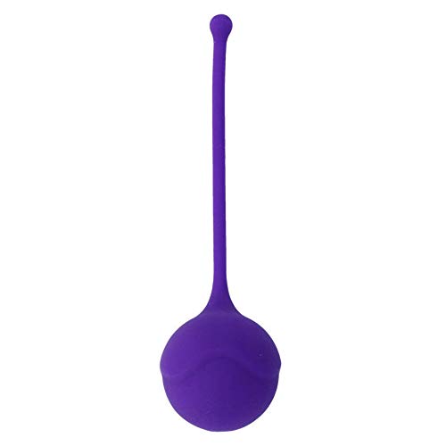 Intense Toys Intense Kisha Fit One Silicone Kegel Purple