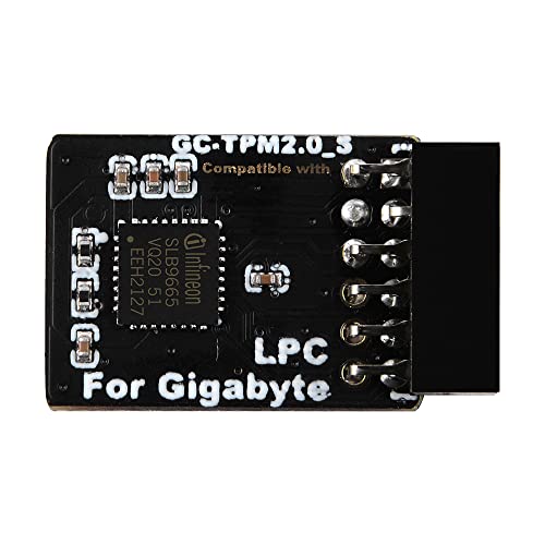 Newhail Modulo Tpm2.0 Lpc 12Pin Con Infineon Slb9665 Per Scheda Madre Gigabyte Compatibile Con Gc-Tpm2.0_S