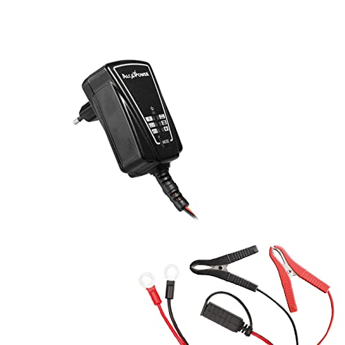 Carica Batteria Alcapower Switching Auto/Moto