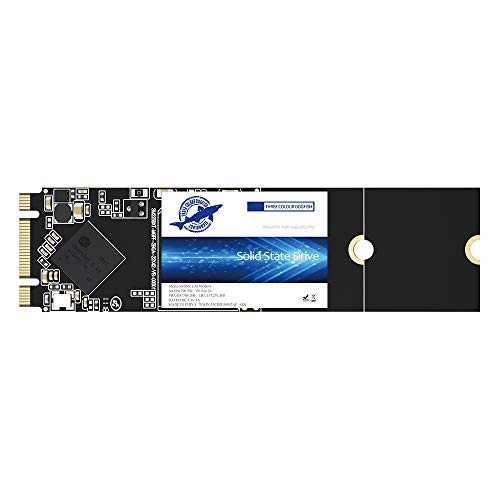Dogfish Ssd M.2 2280 2Tb Ngff Internal Solid State Drive Laptop Hard Drive M2 (M.2 2280 2Tb)